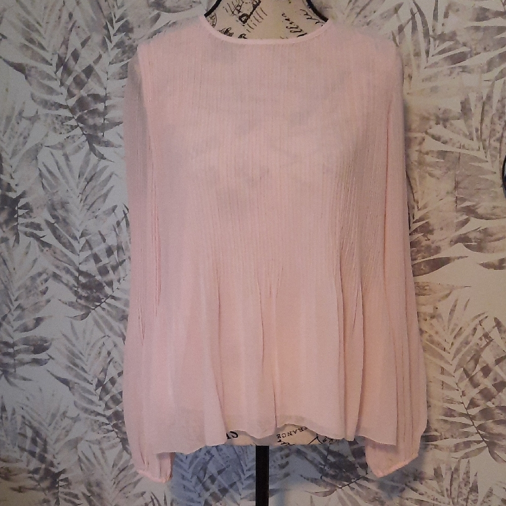 Wilfred Soft Pink Blouse NWT